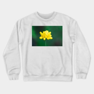 Yellow lotus corniculatus flower Crewneck Sweatshirt